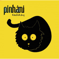 PİNHANİ – kediköy