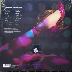 MADONNA – Confessions On A Dance Floor (arka kapak)