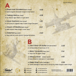 ÇEŞİTLİ SANATÇILAR – guitarists of İstanbul