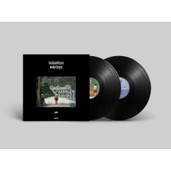 SERDAR ATEŞER – avdet seyri  2LP