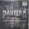 PANTERA – 1990-2000: A Decade  Of Domination (ön kapak)