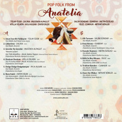 ÇEŞİTLİ SANATÇILAR – pop folk Anatolia  (kahverengi plak)