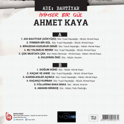 AHMET KAYA – adı bahtiyar / iyimser bir gül   (arka kapak)