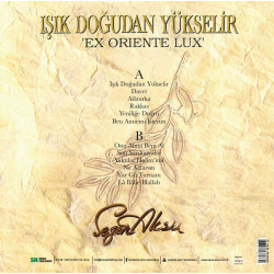 SEZEN AKSU – ışık doğudan yükselir    (arka kapak)