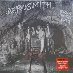 AEROSMITH – Night In The Ruts