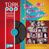 ÇEŞİTLİ SANATÇILAR – türk pop müzik tarihi vol.2