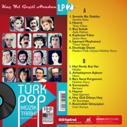 ÇEŞİTLİ SANATÇILAR – türk pop müzik tarihi vol.2