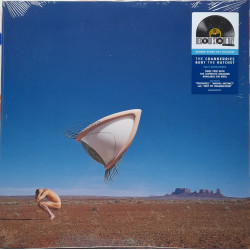 THE CRANBERRIES – Bury The...