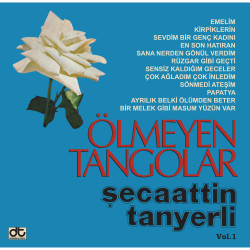 ŞECAATTİN TANYERLİ –...