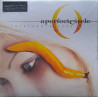 A PERFECT CIRCLE – Thirteenth Step  2LP