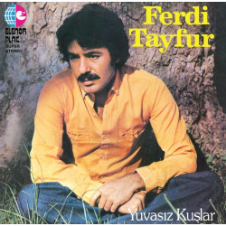 FERDİ TAYFUR – yuvasız kuşlar  (ön kapak)