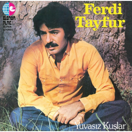 FERDİ TAYFUR – yuvasız kuşlar  (ön kapak)