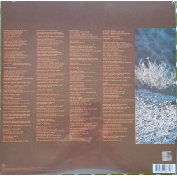 STEVIE WONDER – Talking Book