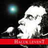 HALUK LEVENT – akşamüstü