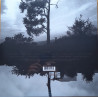 MANCHESTER ORCHESTRA – A Black Mile To The Surface (SILVER VINYL)  2LP