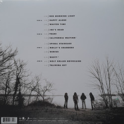 KINGS OF LEON – Youth & Young Manhood    2LP