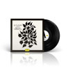 NICK CAVE & NICHOLAS LENS - L.I.T.A.N.I.E.S.   2LP