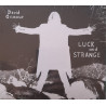DAVID GILMOUR – luck and strange