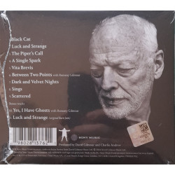 DAVID GILMOUR – luck and strange
