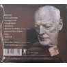 DAVID GILMOUR – luck and strange