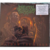 SKELETAL REMAINS – beyond the flesh