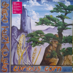 OZRIC TENTACLES – Curious...