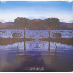 BRUCE DICKINSON –...