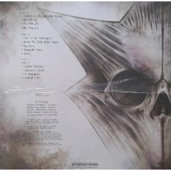 IN FLAMES – Sounds Of A Playground Fading  (NATURAL VINYL)  2LP