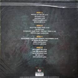 JAN AKKERMAN – 75 (LIMITED, NUMBERED, COLOURED)  2LP