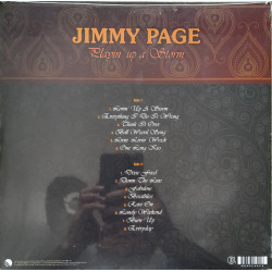 JIMMY PAGE – Playin’ Up A Storm