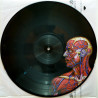 TOOL – Lateralus (Limited Edition PICTURE DISC)  2LP