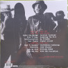 RED HOT CHILI PEPPERS – Greatest Hits   2LP