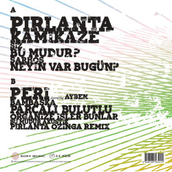 NİL KARAİBRAHİMGİL - Tek Taşımı Kendim Aldım