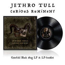 JETHRO TULL – Curious Ruminant
