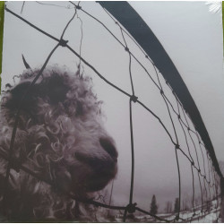 PEARL JAM – Vs.