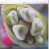 FIONA APPLE – Extraordinary Machine   2LP