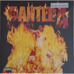 PANTERA – Reinventing The...