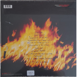 PANTERA – Reinventing The Steel (LIMITED EDITION WHITE & SOUTHERN FLAMES YELLOW MARBLED VINYL)