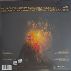 THE NELS CLINE SINGERS – Share The Wealth   2LP