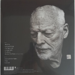 DAVID GILMOUR – Luck And...
