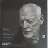 DAVID GILMOUR – Luck And Strange