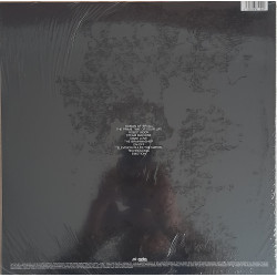 DAFT PUNK – Human After All  2LP