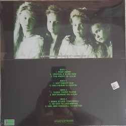 TYPE O NEGATIVE – Dead Again (LIMITED EDITION CLEAR with GREEN/WHITE/BLACK SPLATTER VINYL)  2LP