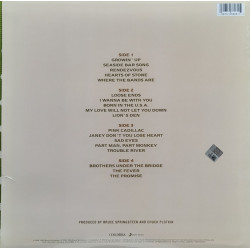 BRUCE SPRINGSTEEN – 18 Tracks     (arka kapak)