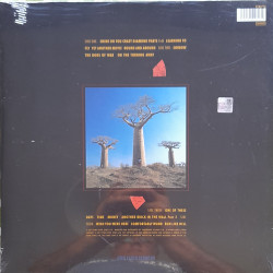 PINK FLOYD – Delicate Sound Of Thunder/Live  (arka kapak)