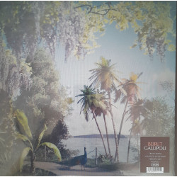 BEIRUT - Gallipoli