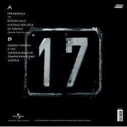 TEOMAN - 17 (Beyaz Plak)