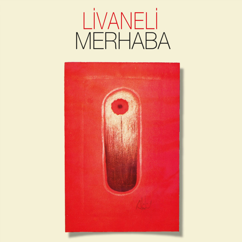 ZÜLFÜ LİVANELİ – merhaba