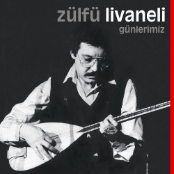 ZÜLFÜ LİVANELİ – günlerimiz