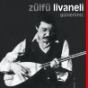 ZÜLFÜ LİVANELİ – günlerimiz